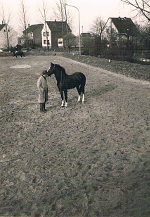 1961