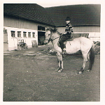 1962